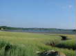 dscf0082.jpg